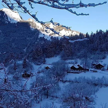 Chalet Moenchsblick Wengen Exterior photo